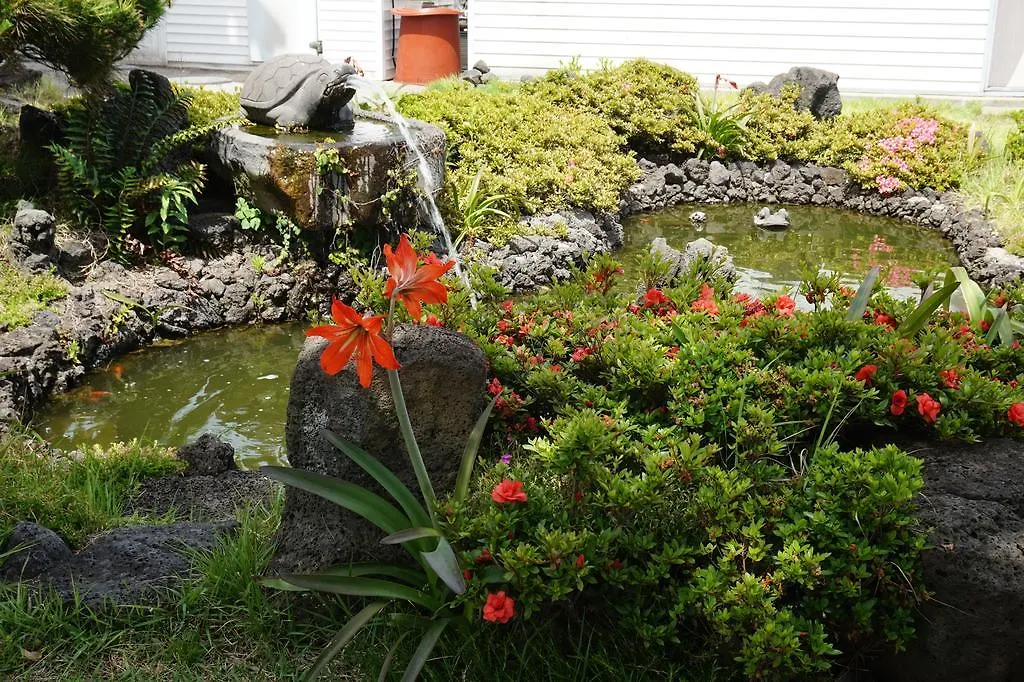 Jeju Feel House Hotel
