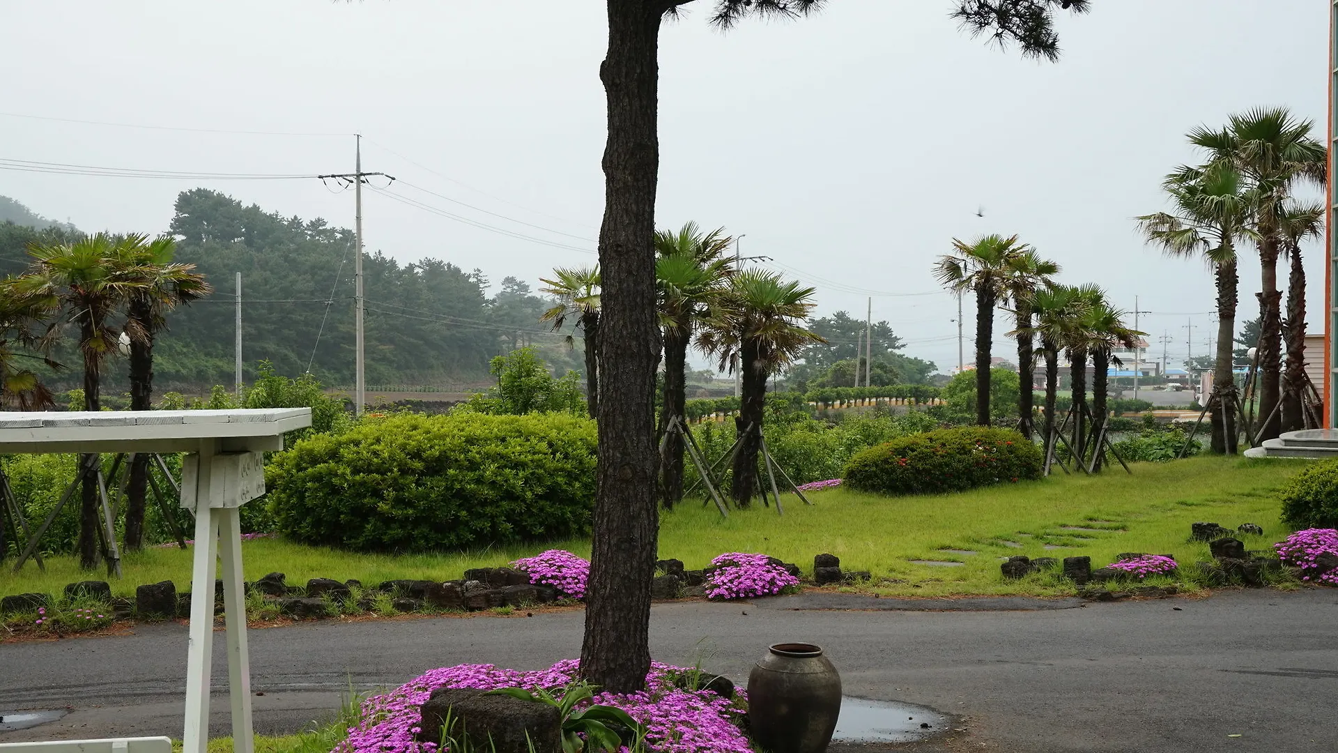 Jeju Feel House Hotel