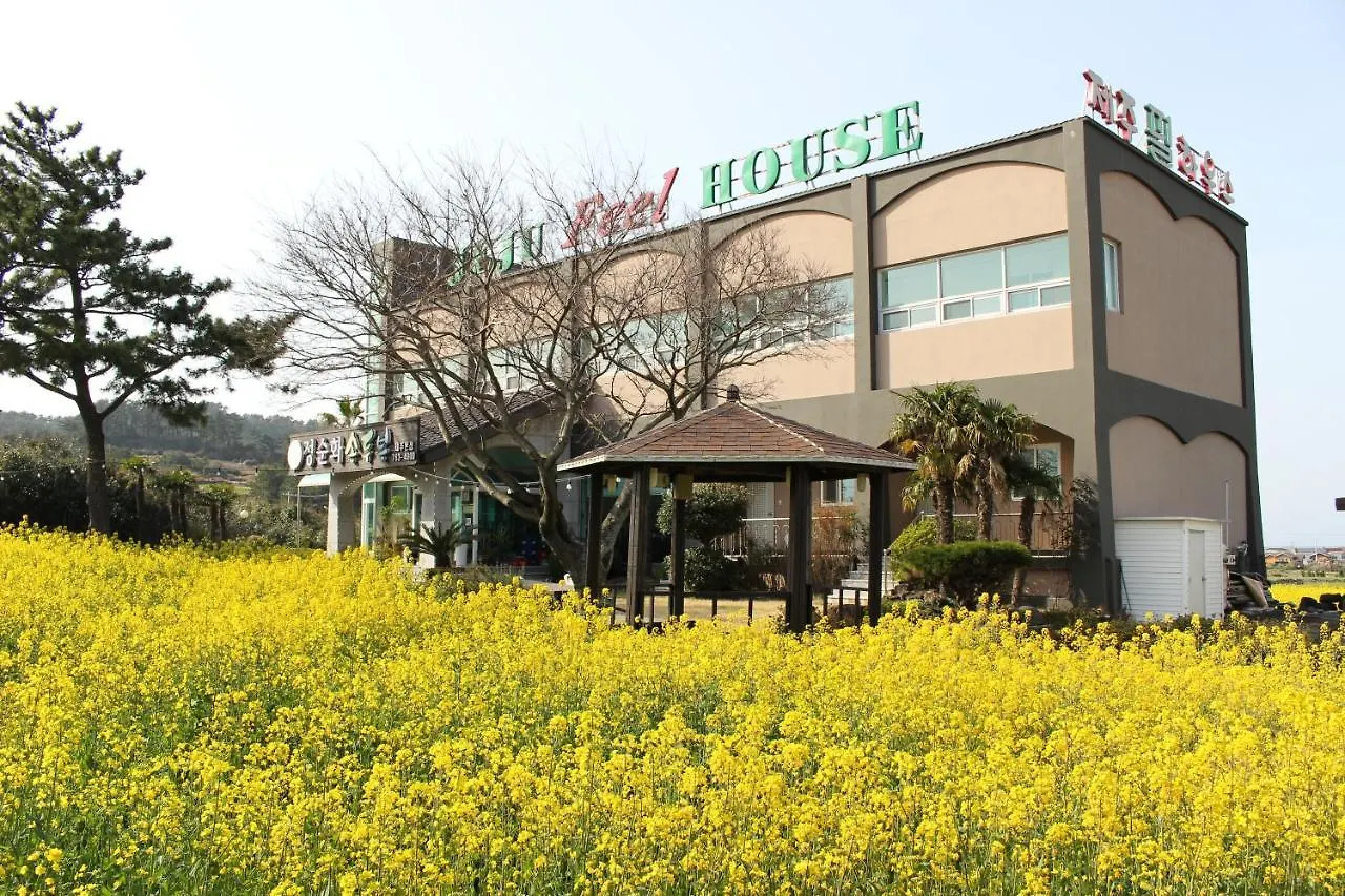 게스트하우스 제주 필 하우스 호텔