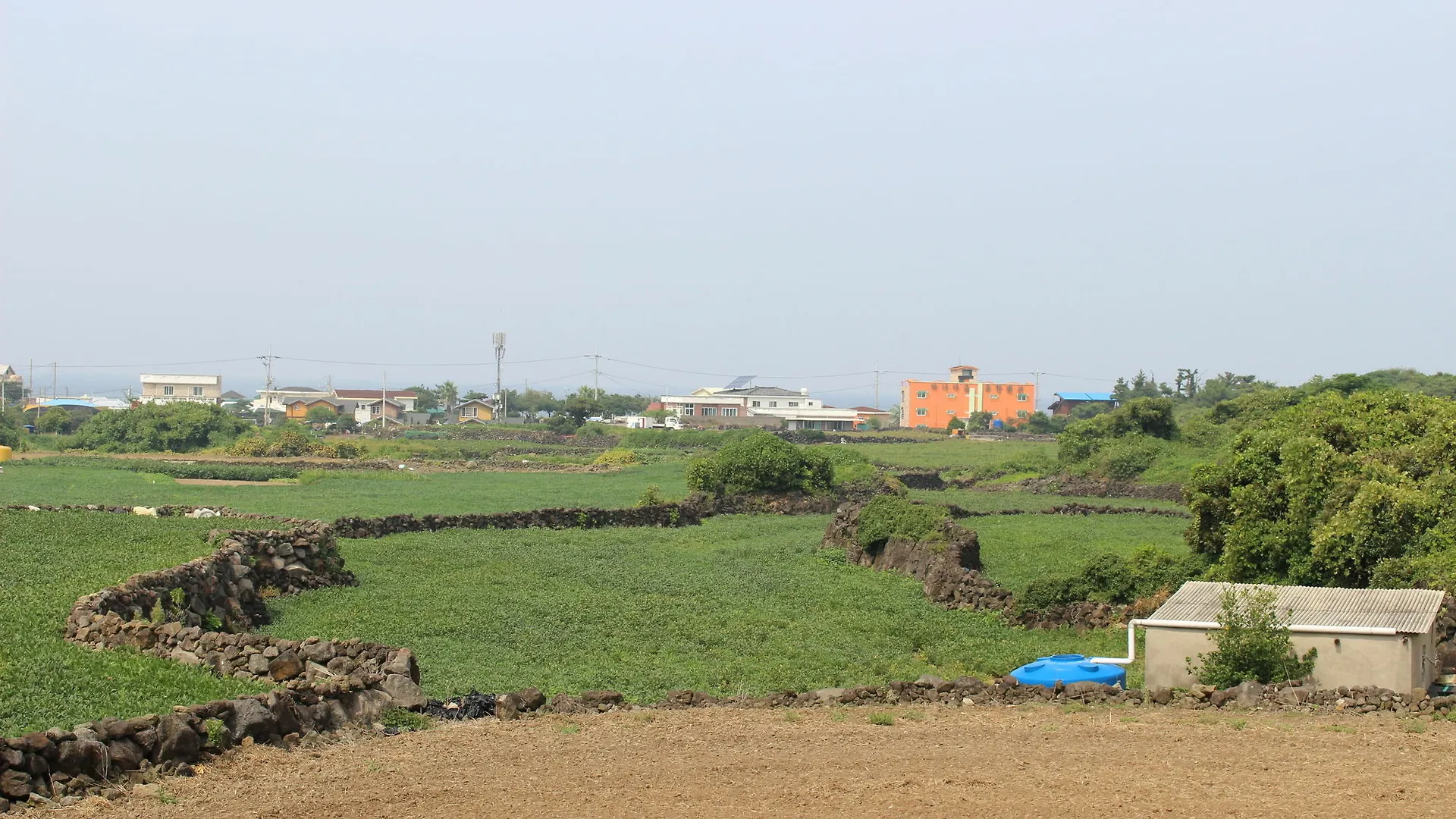 ** 게스트하우스 제주 필 하우스 호텔 대한민국